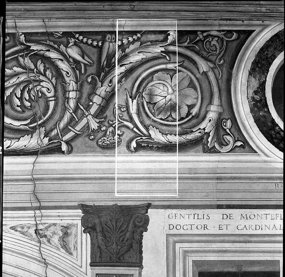 motivi decorativi a girali vegetali (dipinto) di Morone Domenico (e aiuti), Morone Francesco (fine/inizio secc. XV/ XVI)