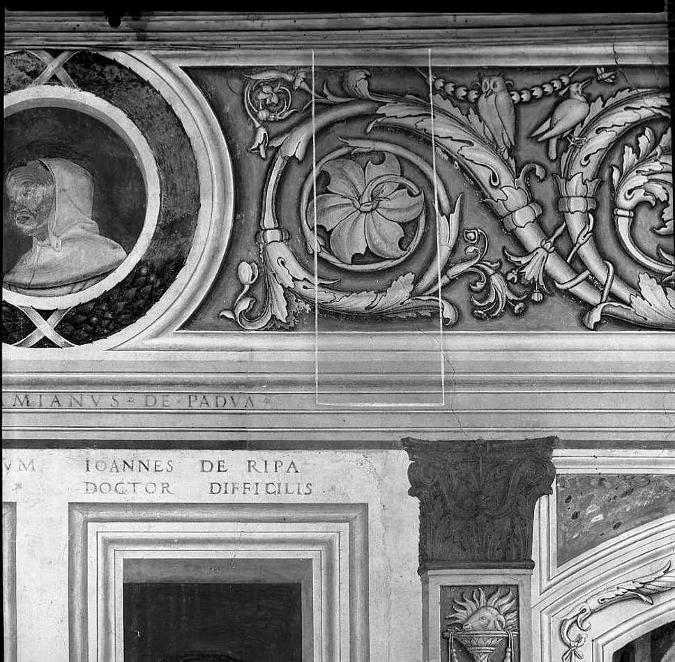 motivi decorativi a girali vegetali (dipinto) di Morone Domenico (e aiuti), Morone Francesco (fine/inizio secc. XV/ XVI)