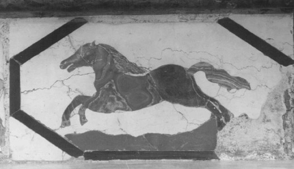 cavallo (decorazione a intarsio) di Corbarelli Benedetto (sec. XVII)