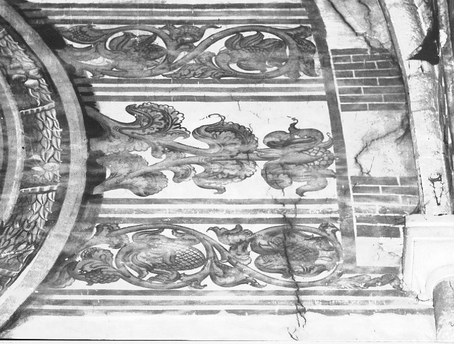 motivi decorativi vegetali (dipinto) di Falcieri Biagio (attribuito) (sec. XV)