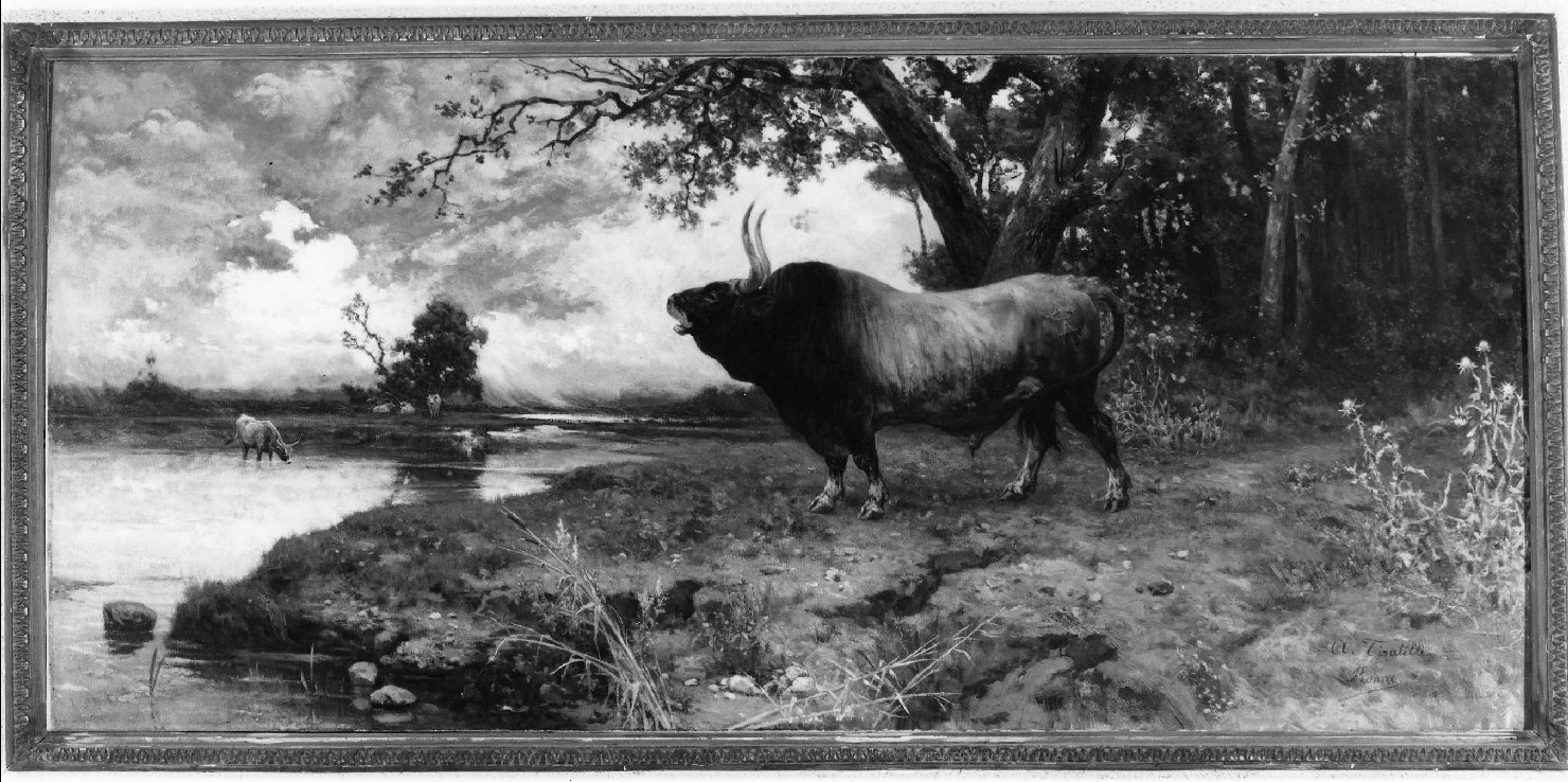 Toro nella palude, paesaggio con animali (dipinto, opera isolata) di Tiratelli Aurelio (sec. XIX)