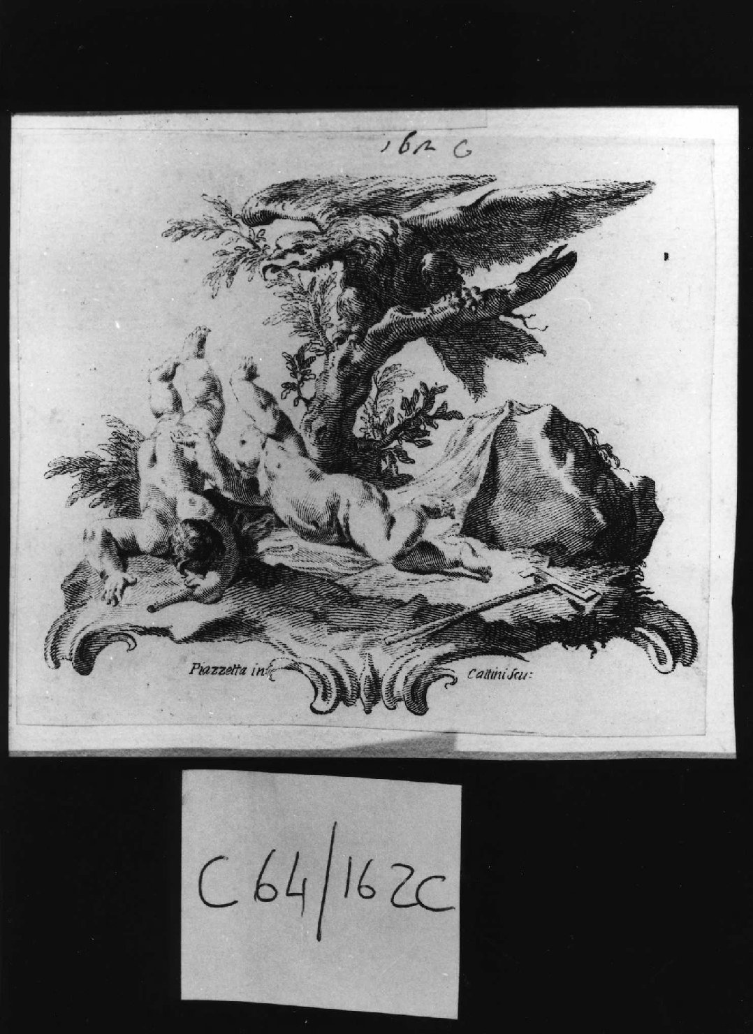 Putti spaventati da un'aquila, putti (stampa smarginata, serie) di Piazzetta Giovanni Battista, Cattini Giovanni (sec. XVIII)