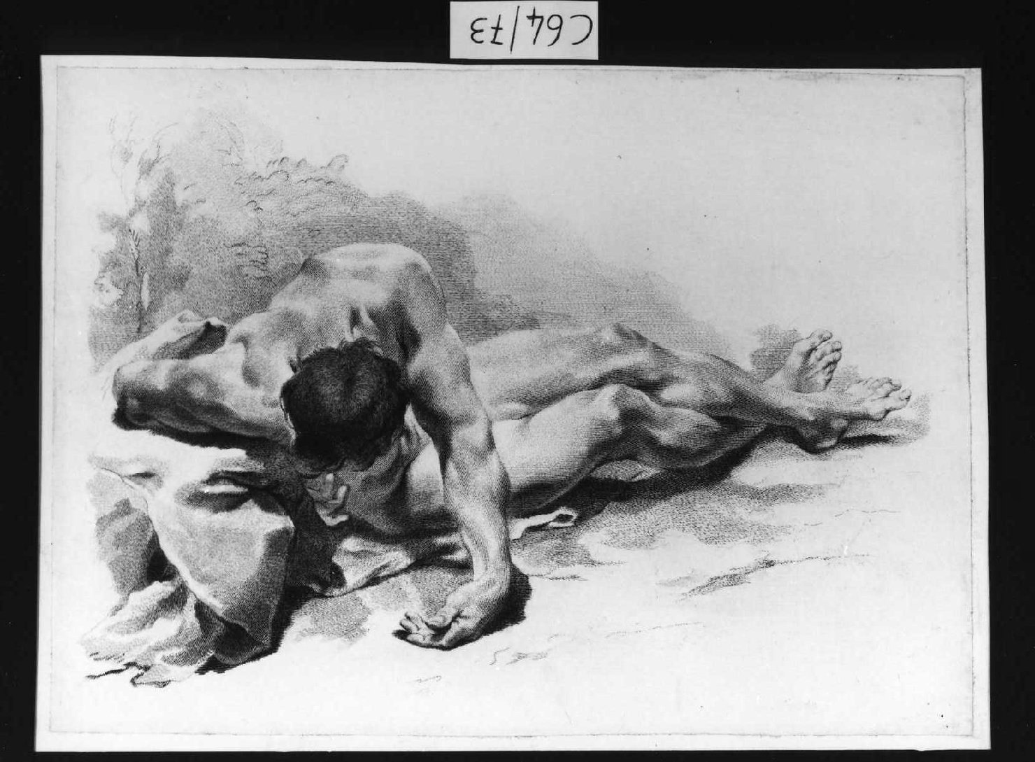 giovane nudo (stampa smarginata, serie) di Piazzetta Giovanni Battista, Pitteri Marco Alvise (sec. XVIII)