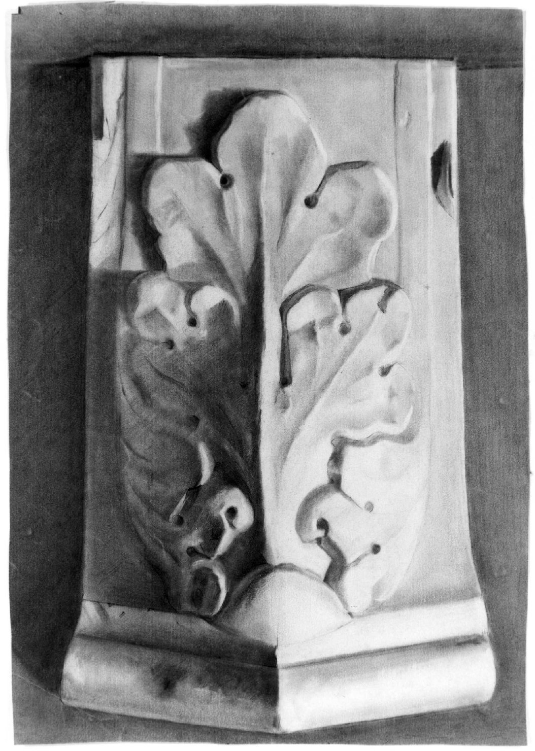 foglia d'acanto (disegno) di Belloni Elisa (fine sec. XIX)
