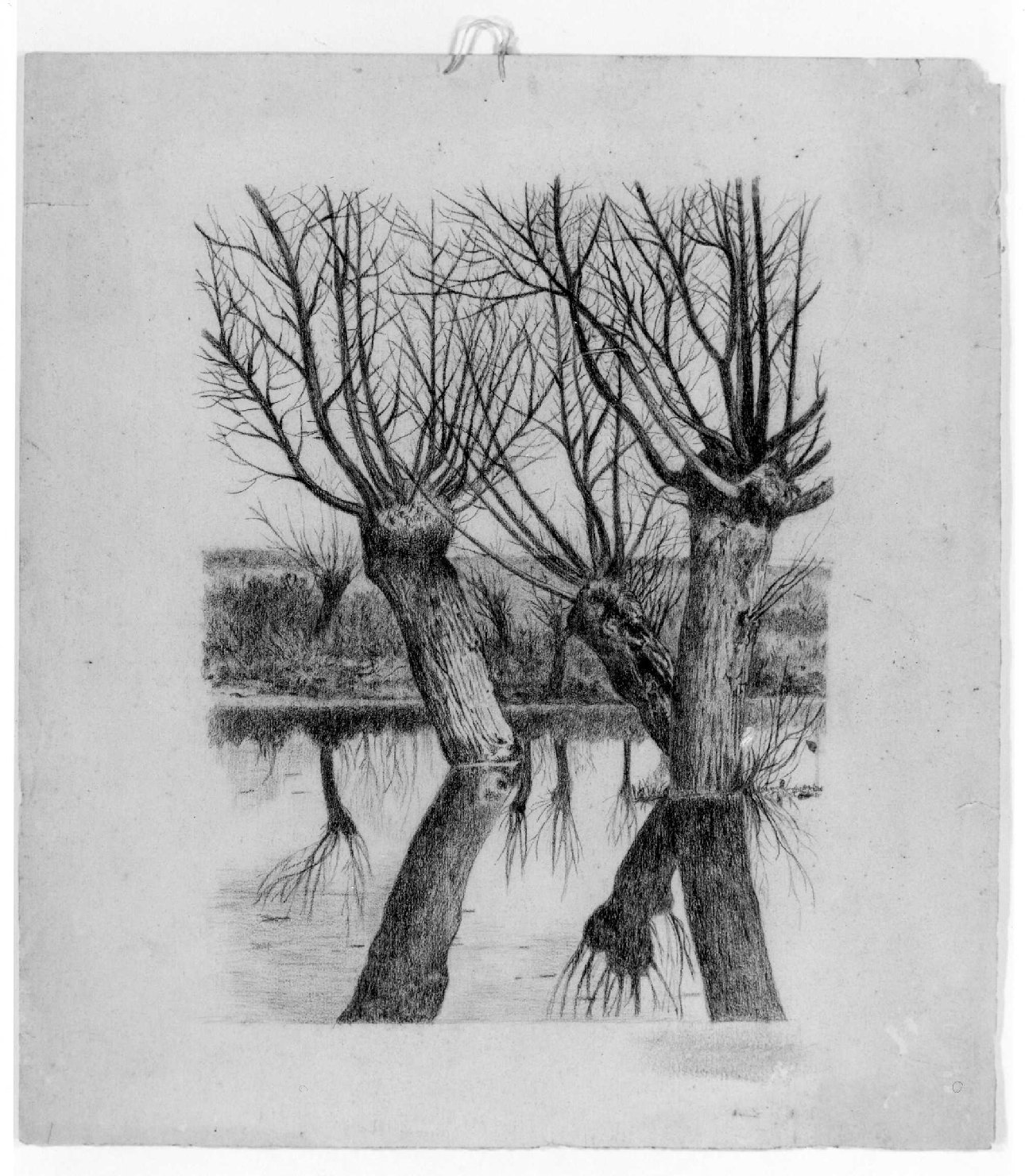 paesaggio fluviale (disegno) di Belloni Elisa (fine sec. XIX)