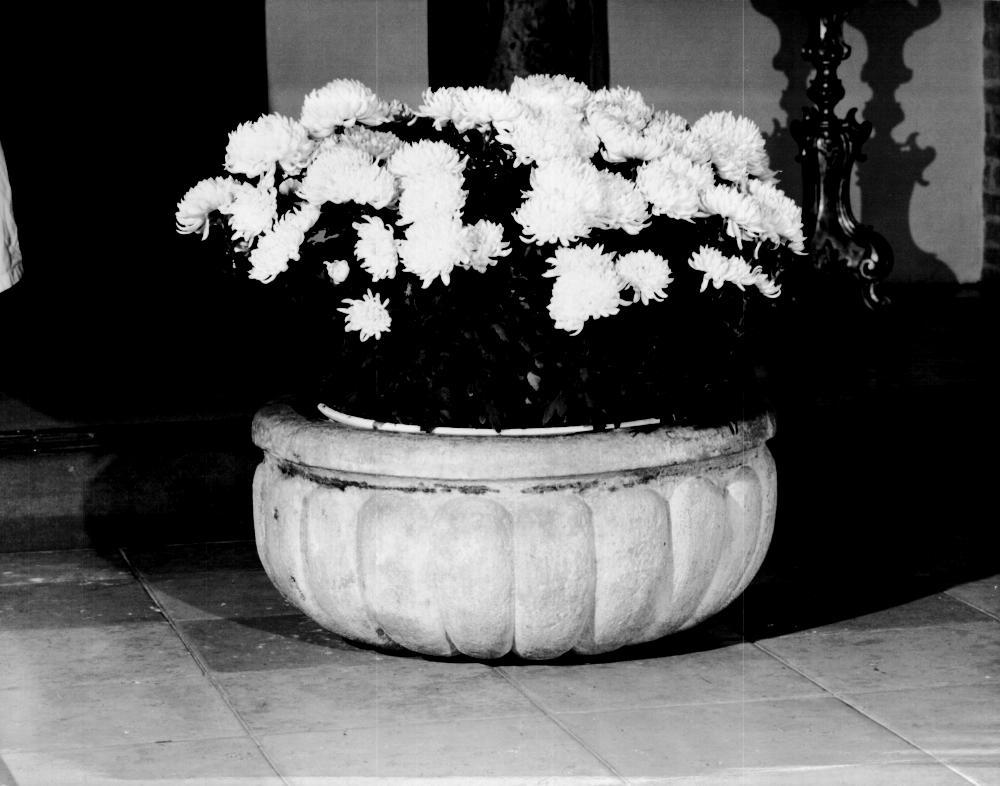 vasca di fonte battesimale - ambito veneto (sec. XVII)