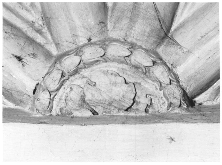 motivi decorativi vegetali (decorazione plastica) - ambito veneto (sec. XV)
