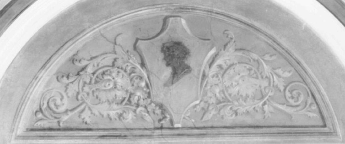motivi decorativi vegetali a volute con cartiglio (dipinto) di Casa Giacomo (sec. XIX)