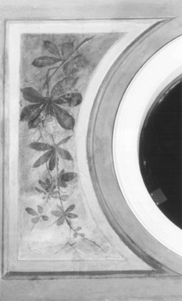 motivo decorativo vegetale (dipinto) di Casa Giacomo (sec. XIX)