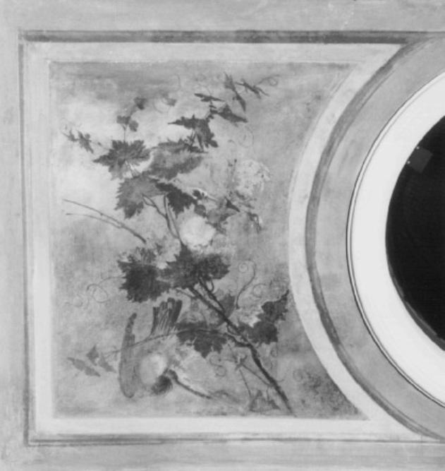 motivo decorativo vegetale (dipinto) di Casa Giacomo (sec. XIX)