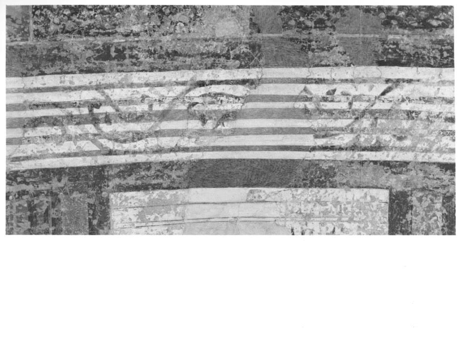 motivi decorativi vegetali a volute (dipinto) - ambito veneto (primo quarto sec. XIII)