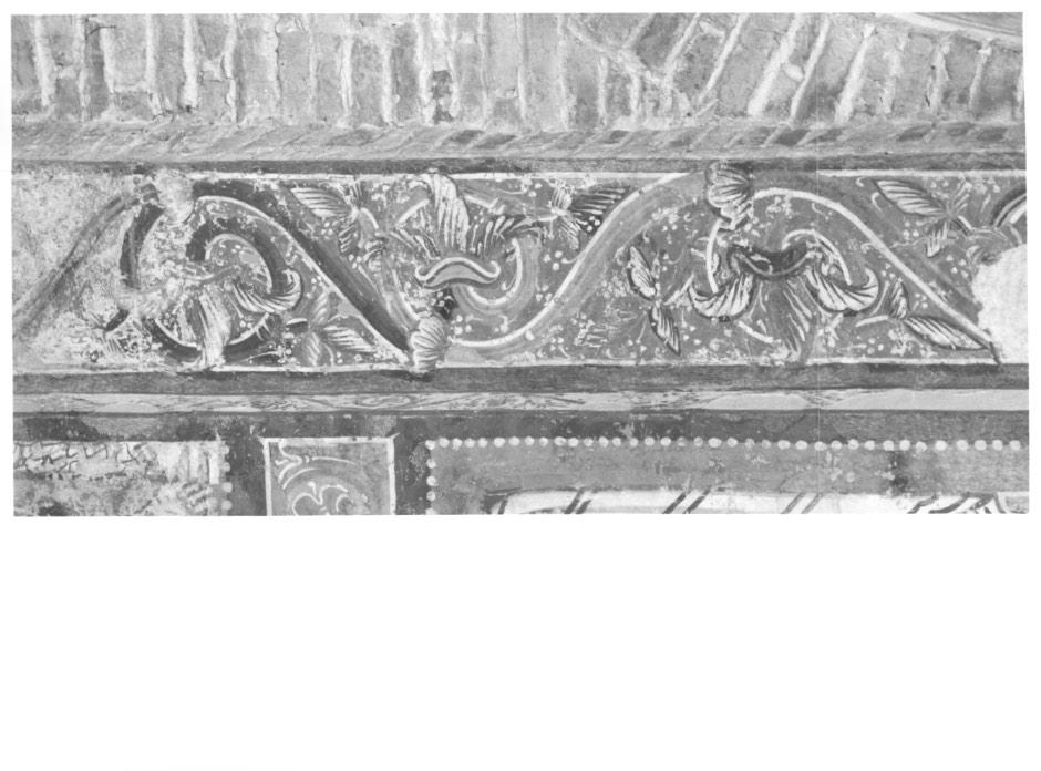 motivi decorativi vegetali a volute (dipinto) - ambito veneto (primo quarto sec. XIII)