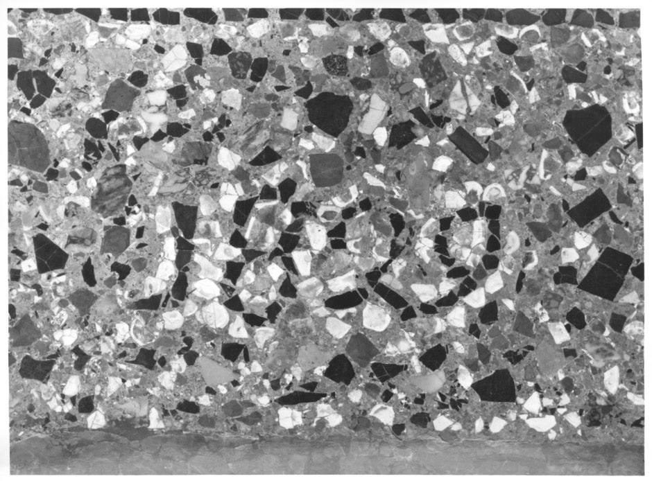 pavimento - ambito veneto (sec. XIX)