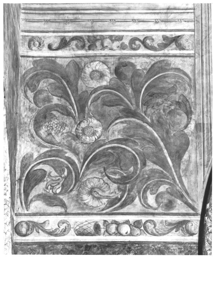 motivi decorativi floreali con foglie d'acanto (dipinto, elemento d'insieme) - ambito veneto (sec. XVI)