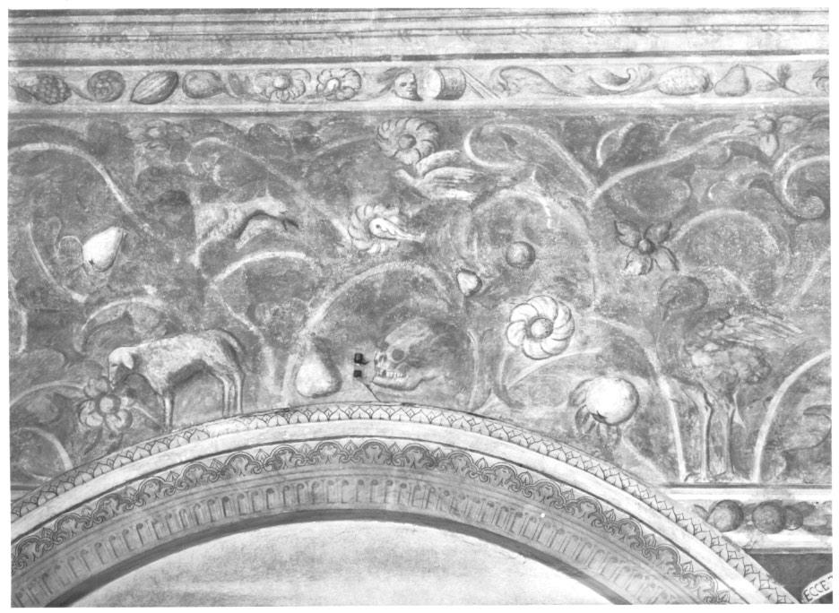 motivi decorativi floreali e vegetali con uccello colomba airone teschio (dipinto, elemento d'insieme) - ambito veneto (sec. XVI)