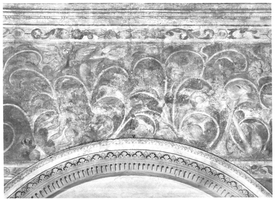 motivi decorativi floreali e vegetali con Barbagianni scimmia cane trombe e scudo (dipinto, elemento d'insieme) - ambito veneto (sec. XVI)