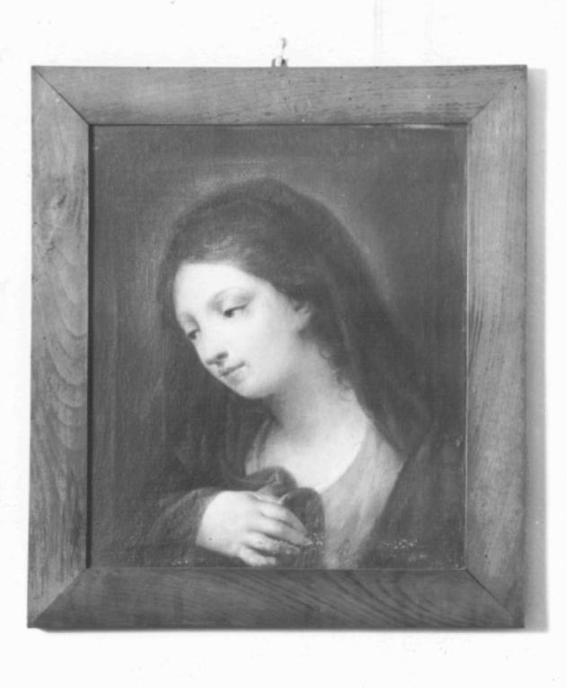 Madonna (dipinto) di Pedrini Filippo (sec. XVIII)