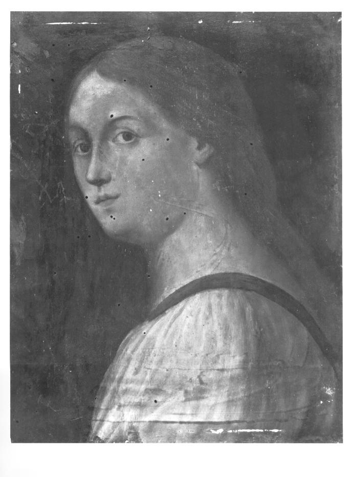 ritratto femminile (dipinto) - ambito veneto (sec. XVI)