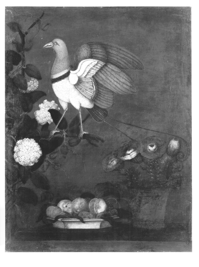 natura morta con fiori (dipinto) - ambito veneto (prima metà sec. XIX)
