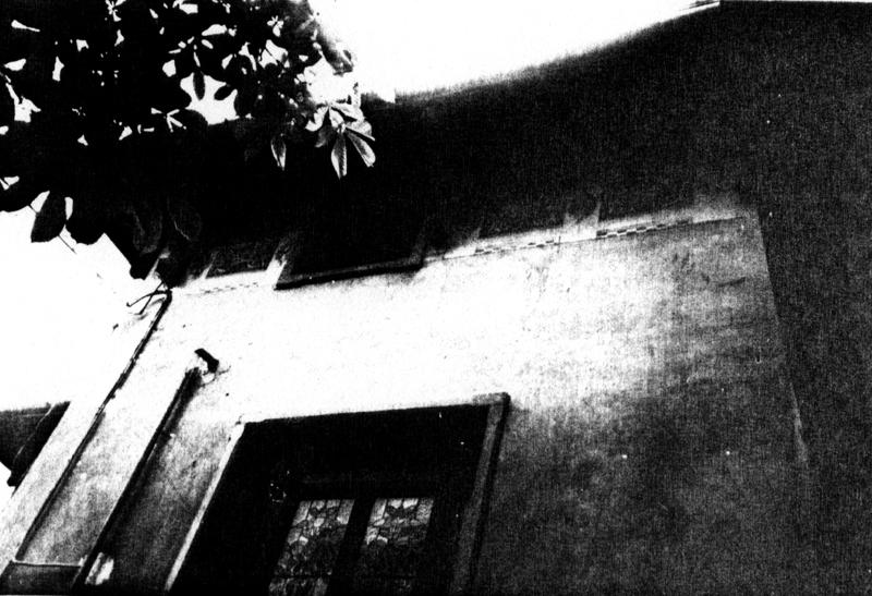 decorazione - manifattura veneta (fine/inizio secc. XIX/ XX)