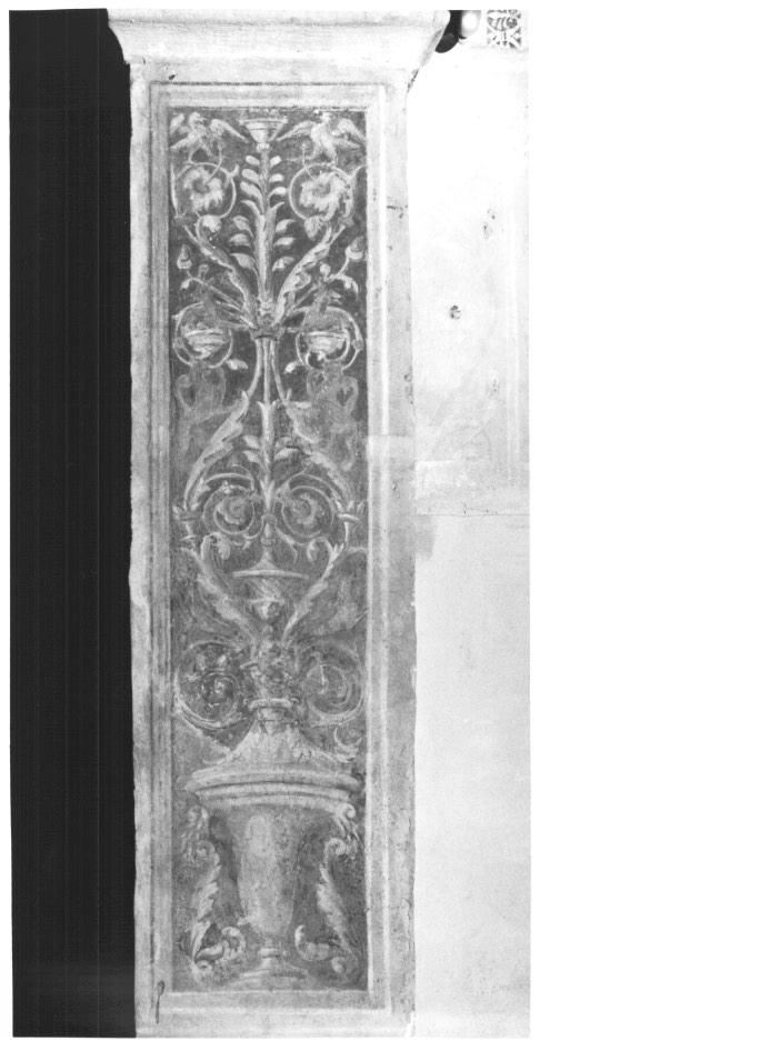 motivo decorativo a candelabra (decorazione pittorica) di Zago Antonio (sec. XV)