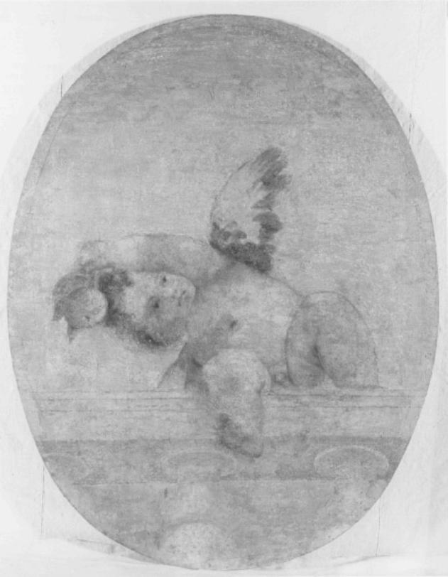 putto su balaustra (dipinto) di Caliari Paolo Detto Paolo Veronese (sec. XVI)