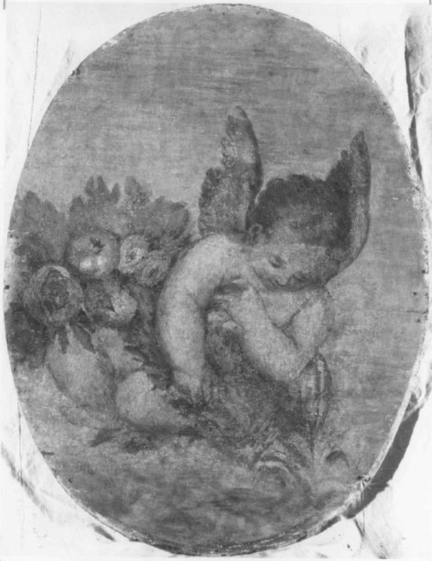 putto su festone con fiori e frutta (dipinto) di Caliari Paolo Detto Paolo Veronese (scuola) (terzo quarto sec. XVI)