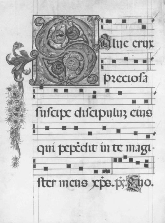 Iniaziale S tra motivi fitomorfi (miniatura) di Giovanni da Bassano (sec. XVII)