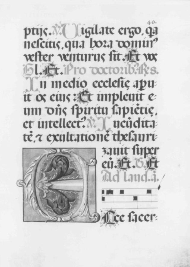 Iniaziale E tra motivi fitomorfi (miniatura) di Giovanni da Bassano (sec. XVII)