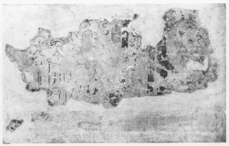 Testa nimbata (dipinto, frammento) - ambito veneto (fine sec. XIII)