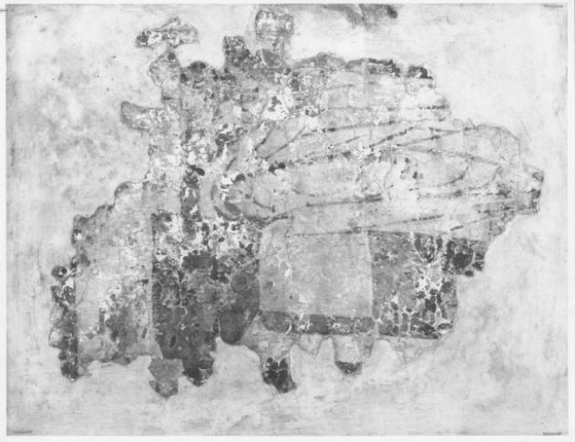 panneggio (dipinto, frammento) - ambito veneto (seconda metà sec. XIII)