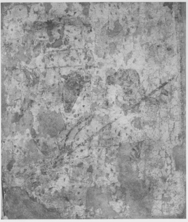 S. Giorgio a cavallo (dipinto) - ambito trevigiano (sec. XVI)