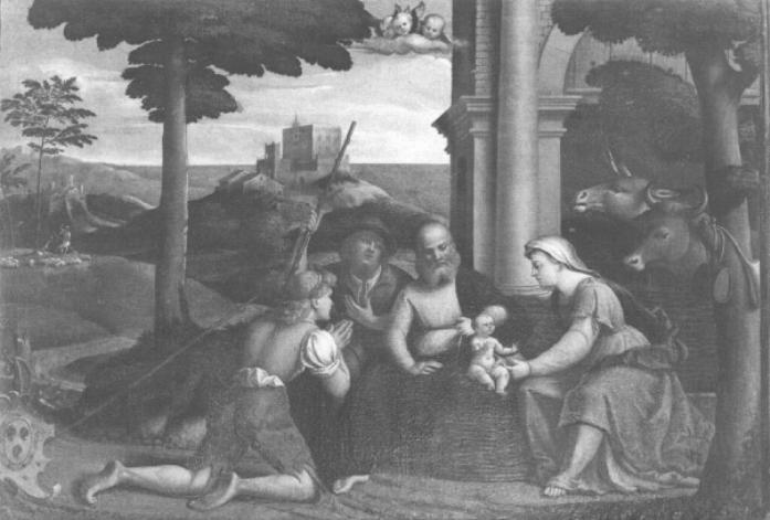 adorazione dei pastori (dipinto) di Capriolo Domenico (maniera) (sec. XVI)