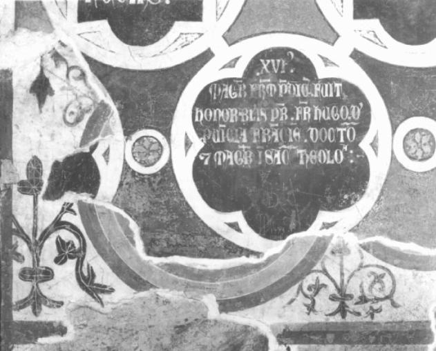 motivi decorativi a tondi e rameggi vegetali (dipinto) - ambito veneto (seconda metà sec. XIII)