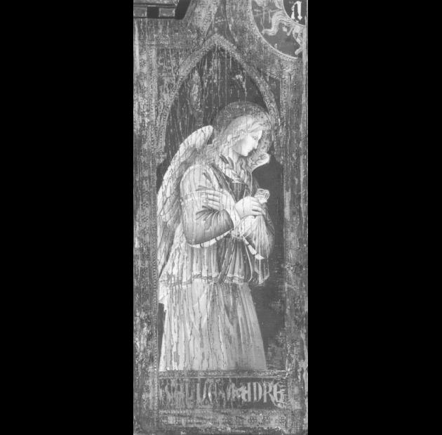angelo (dipinto) di Bison Giuseppe Bernardino (attribuito) - ambito toscano (sec. XV)