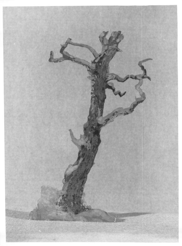 Alberi innevati, edificio con porta d'ingresso e scale di accesso (modellino di scenografia, serie) di Gončarova Natalja (attribuito) (primo quarto XX)