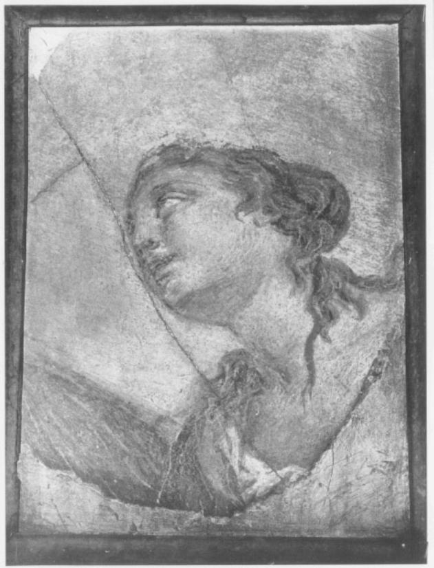 testa femminile (dipinto, frammento) - ambito veneto (prima metà sec. XVIII)