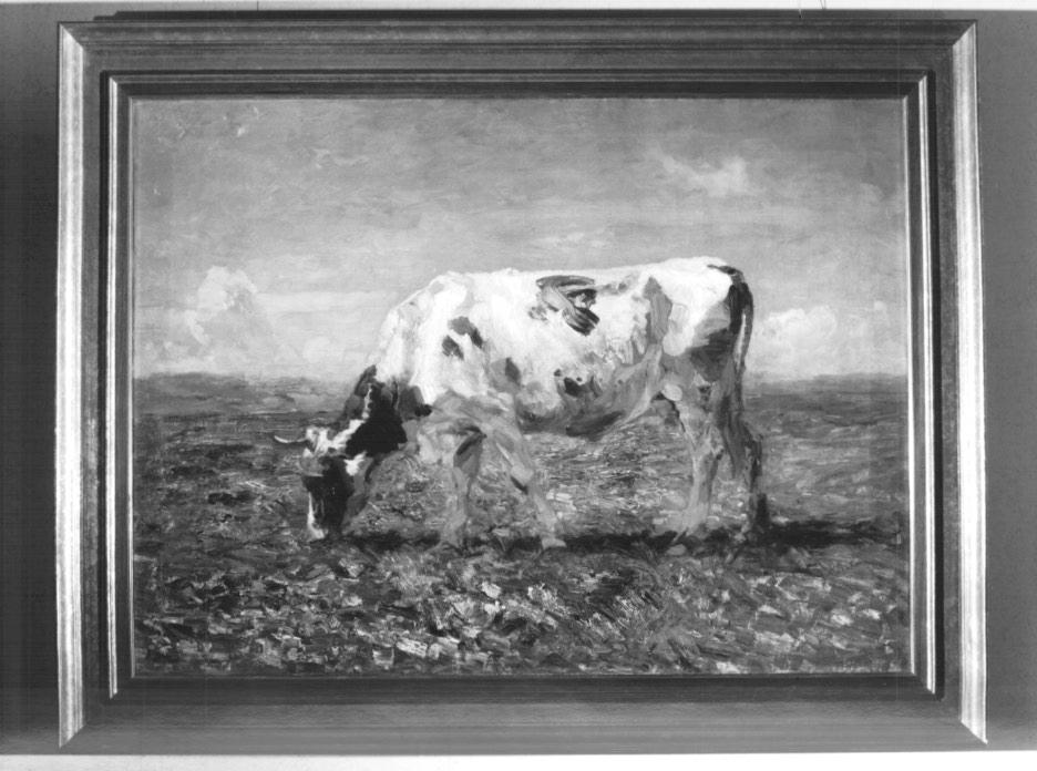 Mucca al pascolo (dipinto) di Ciardi Beppe (secc. XIX/ XX)