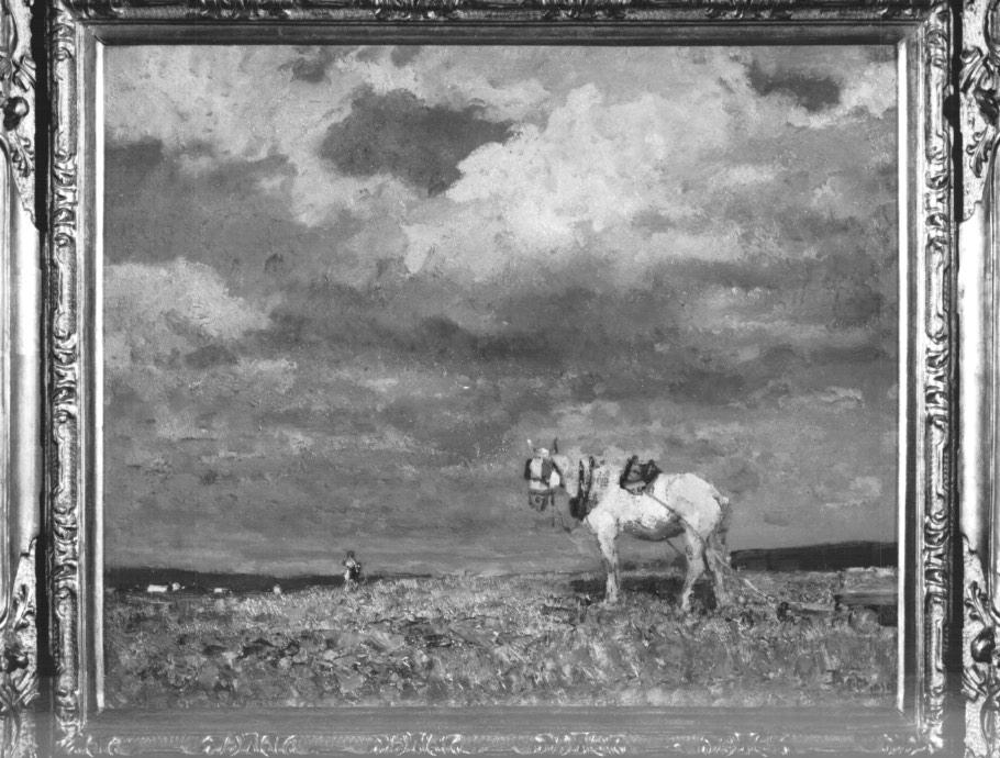 cavallo bianco (dipinto) di Ciardi Beppe (secc. XIX/ XX)