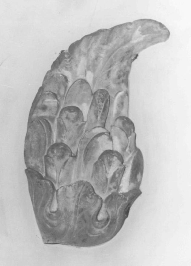 Ala di angelo (rilievo, frammento) - ambito veneto (sec. XVII)