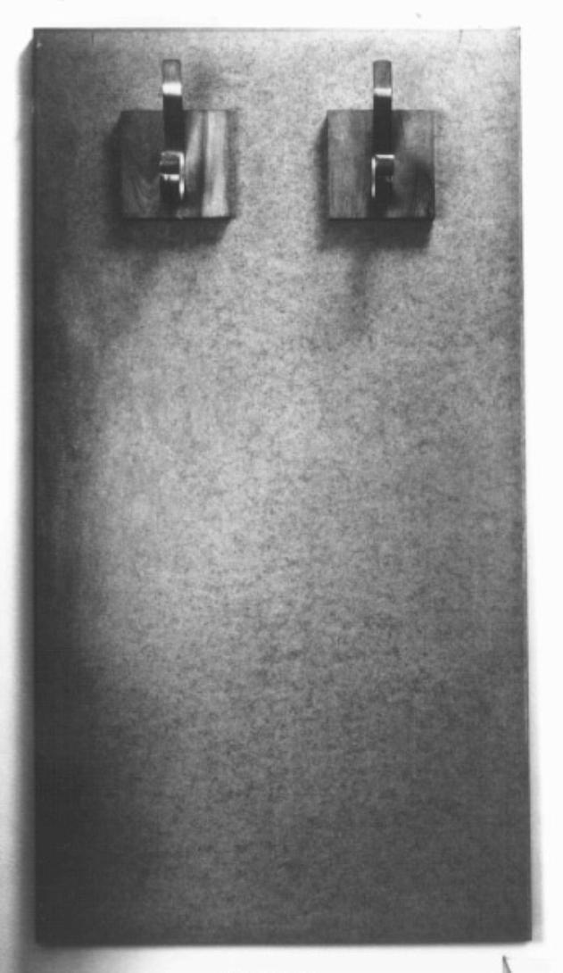 attaccapanni di Ponti Gio (sec. XX)