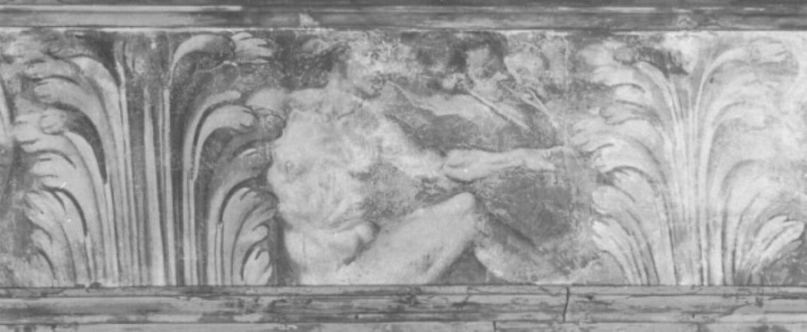 Nudo maschile/ motivi decorativi vegetali (dipinto) di Campagnola Domenico (attribuito) (sec. XVI)