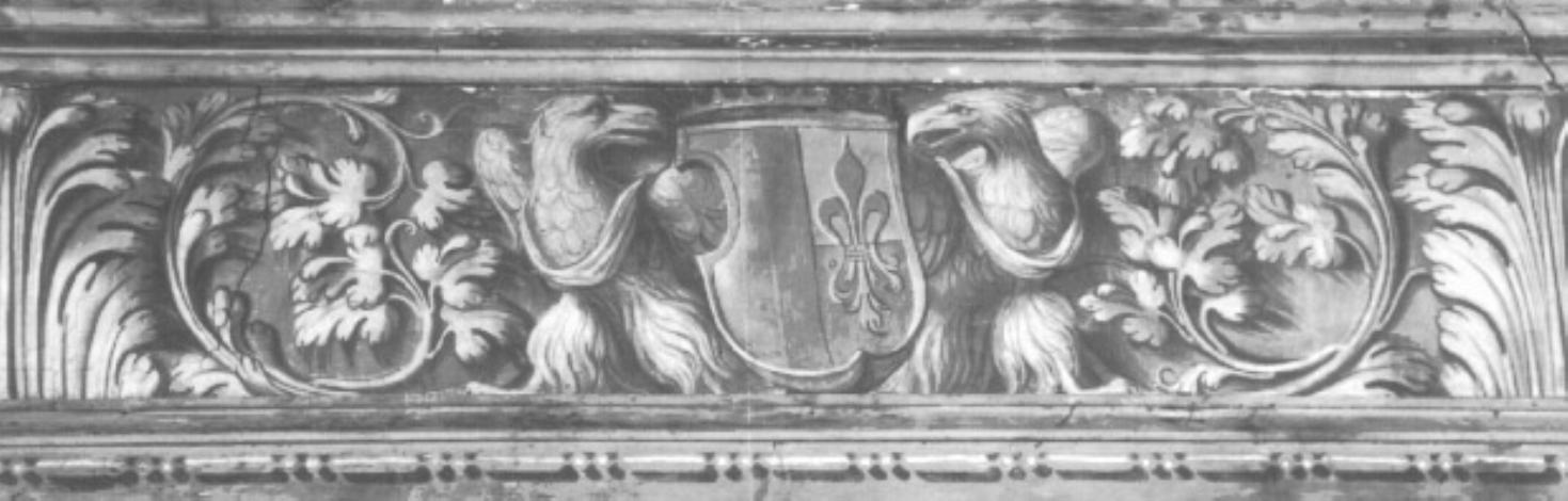 motivi decorativi vegetali/ aquile/ stemma (dipinto) di Campagnola Domenico (attribuito) (sec. XVI)