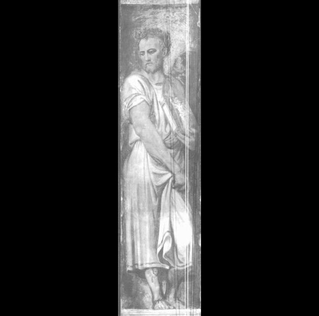 Quinto Asconio Pediano (dipinto) di Campagnola Domenico (sec. XVI)