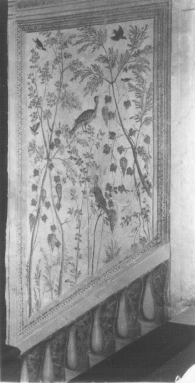motivi decorativi vegetali/ uccelli (dipinto) - ambito veneto (sec. XVII)