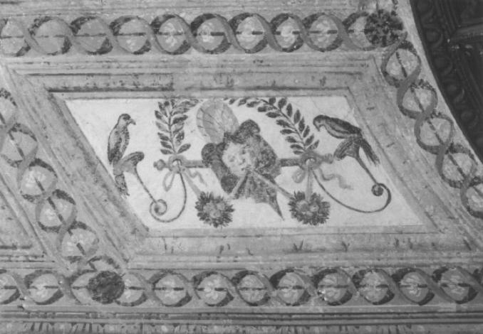 motivi decorativi a grottesche (dipinto, serie) - ambito veneto (sec. XVII)