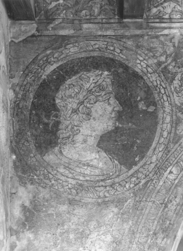 tondo incorniciato d'alloro con testa d'uomo di profilo coronata d'alloro (dipinto) - ambito padovano (sec. XV, sec. XX)