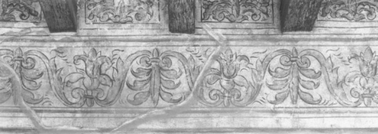 motivi decorativi vegetali con tralci ondulanti (decorazione) - ambito veneto (sec. XV, sec. XX)