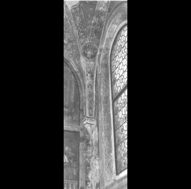 motivi decorativi fitomorfi a intreccio/ Teste di cherubino/ Teste di leone/ Teste di medusa (dipinto) di Tessari Girolamo detto Girolamo Dal Santo (sec. XVI)