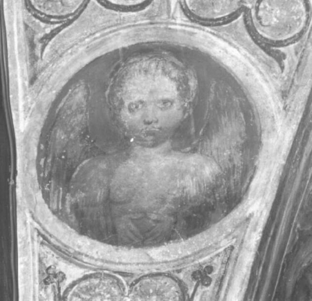 angelo (dipinto) di Tessari Girolamo detto Girolamo Dal Santo (sec. XVI)